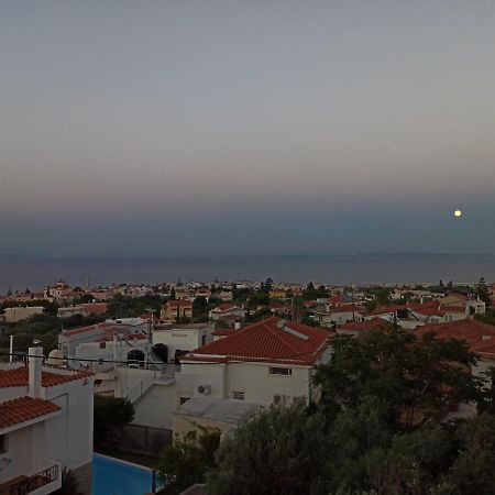 Maris Full Apartment With Roof Garden Access Chios Town Luaran gambar
