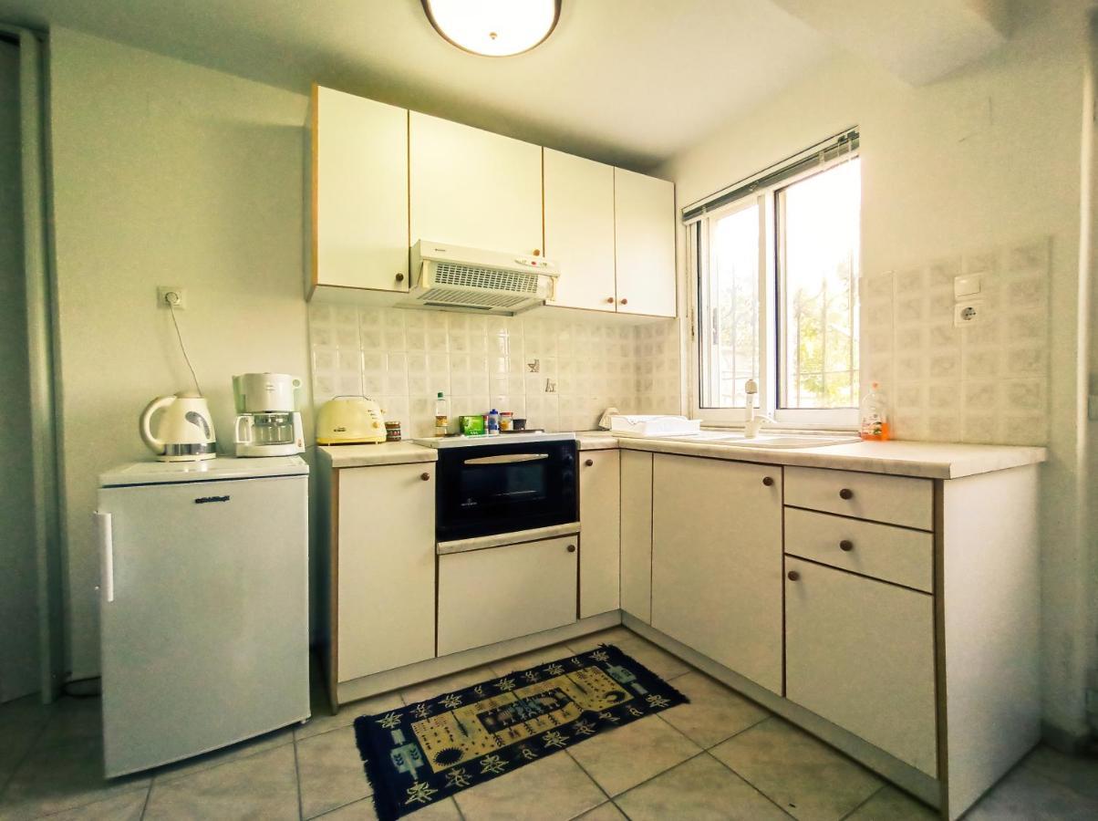 Maris Full Apartment With Roof Garden Access Chios Town Luaran gambar